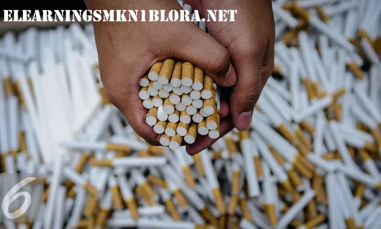 Kesehatan atau Ekonomi? Kritikan Tajam Terhadap Pernyataan Bea Cukai Langsa di Forum Rokok Ilegal